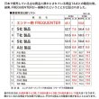 画像8: スーツケース キャリーケース トラベルケース 34リッター キャリーストッパー ブランド FREQUENTER フリクエンター 1-541 4輪 縦型 旅行カバン (8)
