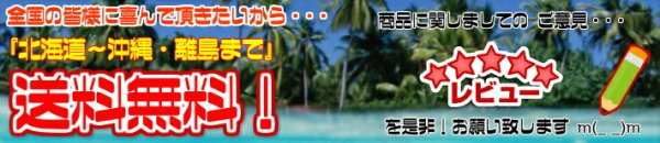 【Crocodile】[No:81CR63][ベルべ２Series]二つ折り深札入れ財布■カードポケットも充実■大型小銭入れ付きタイプ■おしゃれなサイドステッチ■ソフトなシープスキン素材使用！☆化粧箱入り☆
