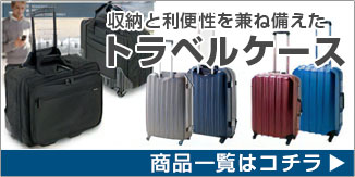 トラベルケース